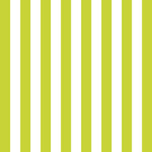 Χαρτοπετσέτες Φαγητού Stripes Green 33x33 cm 20τεμ.