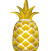 foil ananas