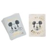 Dinsey Mickey - Milestone Cards Μπλε!